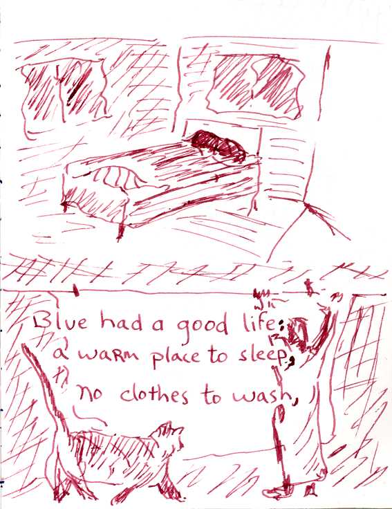 Blue had a good life: a warm place to sleep, no clothes to wash,